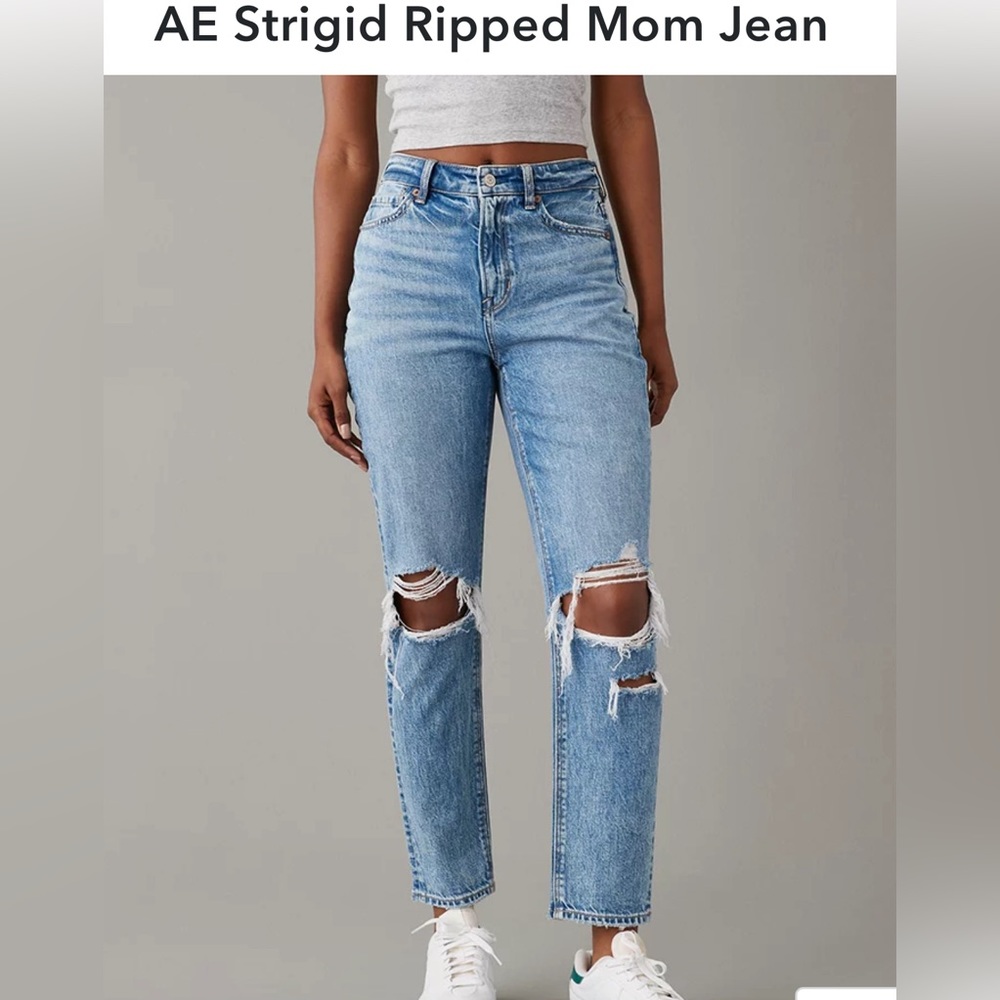 American Eagle AE Strigid Ripped Mom Jean Size 10 Long